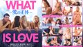 WHAT IS LOVE愛の正体：見どころと評判を徹底レビュー
